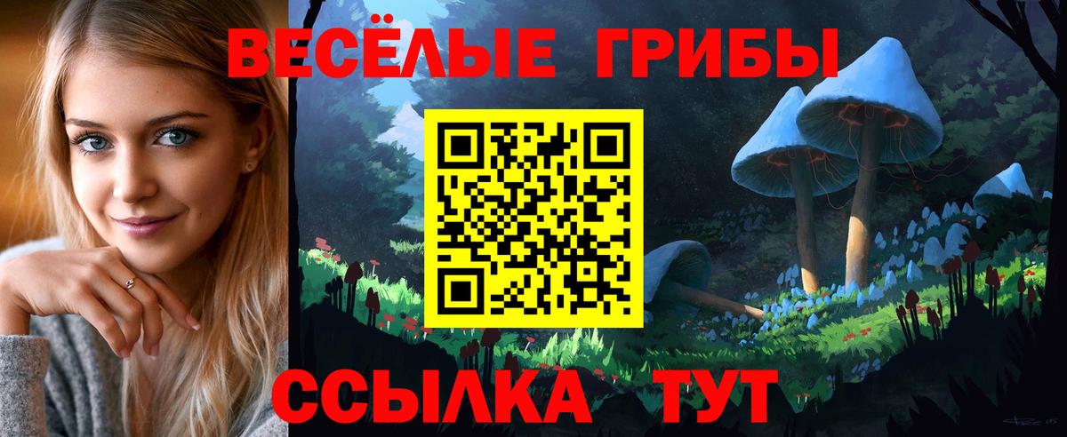 Псилоцибиновые грибы Cubensis  Вход с VPN  Ноябрьск  Псилоцибиновые грибы MAGIC MUSHROOMS 